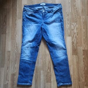 Torrid Women's Straight Leg Denim Jeans